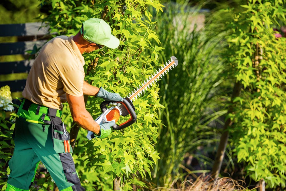 landscaper with hedge trimmer